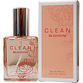 CLEAN BLOSSOM by Clean