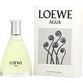 AGUA DE LOEWE by Loewe
